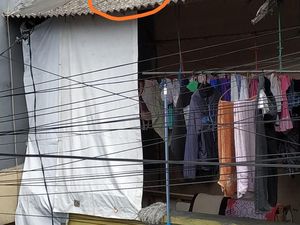 Damkar Evakuasi Kucing Terjepit Genting Rumah di Jakbar, Warga Tepuk Tangan