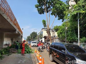 Dinas Kehutanan DKI Tebang Pohon Pagi Hari, Tj Barat Arah Ps Minggu Macet