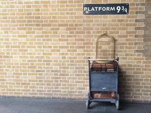 Biar Zoom Tambah Seru, Ini Kumpulan Ide Background Lucu Biar Zoom Tambah Seru, Ini Kumpulan Ide Background Lucu