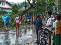 Puting Beliung Terjang Sukabumi, Rumah Ambruk-Pohon Tumbang