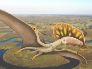 Fosil Reptil Terbang Ditemukan di Inggris, Punya Jambul untuk Daya Tarik Seks