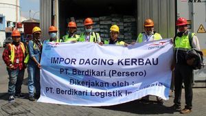 Daging Kerbau India Mulai Masuk Indonesia