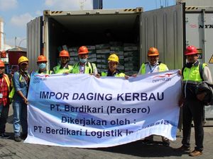 Daging Kerbau India Mulai Masuk Indonesia