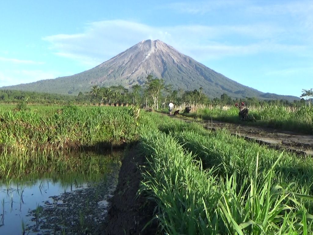 Keluarkan 17 Kali Letusan, Status Gunung Semeru Waspada Keluarkan 17 Kali Letusan, Status Gunung Semeru Waspada