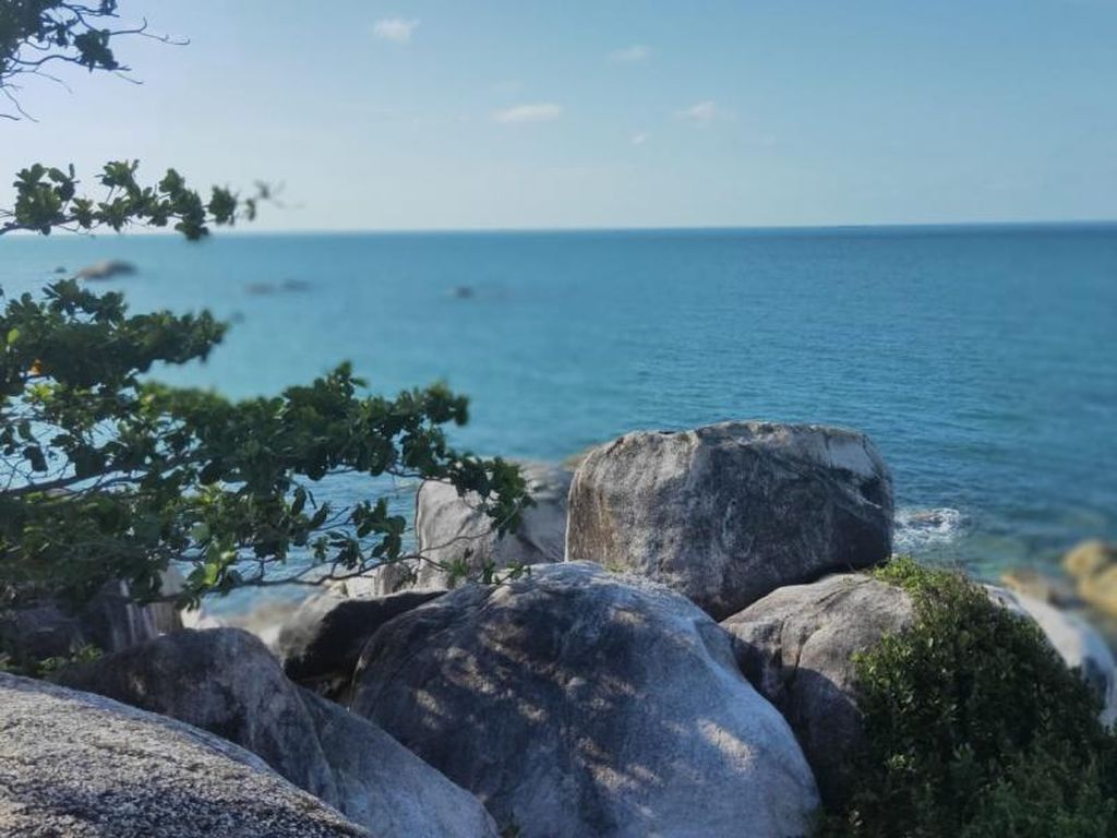 Ini Asupan Vitamin Sea dari Pantai Bangka Ini Asupan Vitamin Sea dari Pantai Bangka