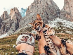 Ini Herbee dan Audree, Kucing dan Landak yang Suka Keliling Dunia