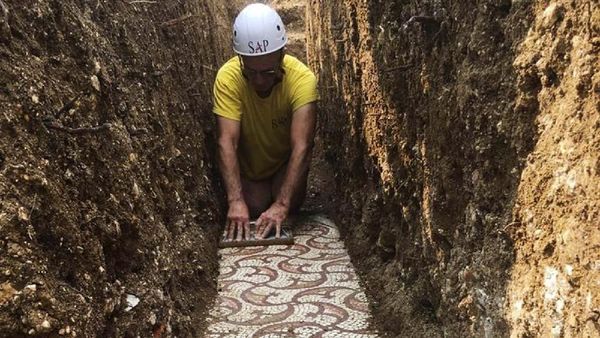 Penampakan Lantai Mosaik Romawi yang Ditemukan di Kebun Anggur Italia