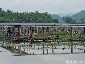 Pemancing Mulai Padati Rawa Jombor Klaten