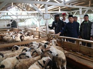 PKB Dorong Ponpes di Jabar Optimalkan Peternakan di Tengah Pandemi