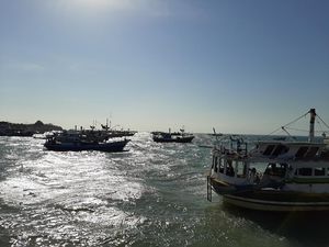 Warga Gili Ketapang yang Pulkam Lebaran Ketupat di Tengah Pandemi Turun 50% Warga Gili Ketapang yang Pulkam Lebaran Ketupat di Tengah Pandemi Turun 50%