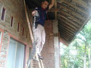 Biawak Ngumpet di Atap Rumah Warga Ciamis Biawak Ngumpet di Atap Rumah Warga Ciamis