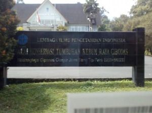 Menikmati Hawa Sejuk Kebun Raya Cibodas dan Aneka Wisatanya