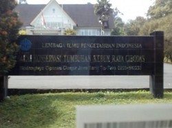 Menikmati Hawa Sejuk Kebun Raya Cibodas dan Aneka Wisatanya