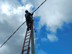 PLN Mulai Setrum Lokasi Ibu Kota Baru, Kode Segera Pindah?