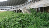 Tanaman liar yang tinggi menambah kesan muram stadion di Kecamatan Tamalate, Makassar itu. (Foto: dok. Tim Detikcom)