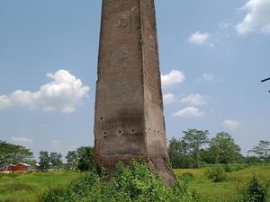 Pipa Buntung yang Malang