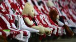Boneka Beruang Ini Jadi Penonton Laga FC Cologne Vs Leipzig