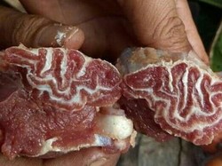 MasyaAllah! 5 Orang Ini Temukan Irisan Daging Berlafaz Allah dan Muhammad