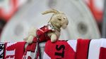 Boneka Beruang Ini Jadi Penonton Laga FC Cologne Vs Leipzig