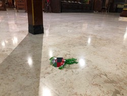 Satpol PP Adukan Anggota DPRD Tulungagung yang Ngamuk Banting Botol Bir ke Polisi