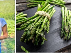 Sepi Job, Model Lingerie Ini Banting Stir Jadi Pemetik Sayuran