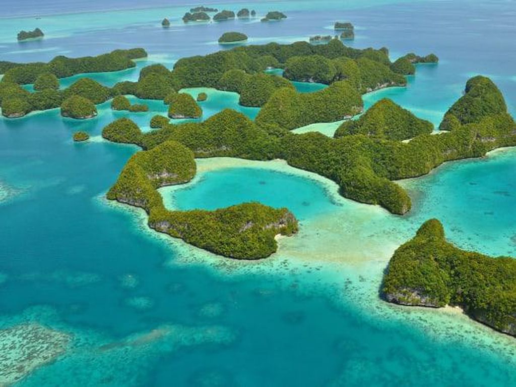 Palau Nol Kasus Corona Mau Buka Pariwisata Nih, tapi... Palau Nol Kasus Corona Mau Buka Pariwisata Nih, tapi...