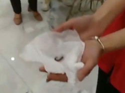 Makan Cacing Hidup Sampai Ikan Mentah Jadi Hukuman Karyawan di China