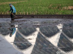 Stok Pupuk Dipastikan Aman di Puncak Musim Tanam