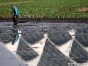 DPRD Jabar Sebut Tak Semua Daerah Semangat Lawan Alih Fungsi Lahan DPRD Jabar Sebut Tak Semua Daerah Semangat Lawan Alih Fungsi Lahan