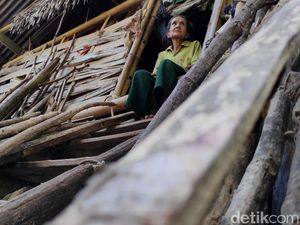 Kisah Nenek Hadi, Hidup Sebatang Kara di Gubuk Reyot Kisah Nenek Hadi, Hidup Sebatang Kara di Gubuk Reyot