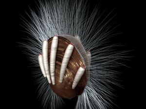 Ilmuwan Temukan Nenek Moyang Parasit