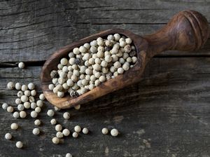 Sri Mulyani Geber Ekspor dan Bikin Petani Lada Naik Kelas, Ini Caranya