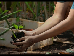 Bank BRI Ajak Masyarakat Rawat Alam Lewat Budaya Menanam