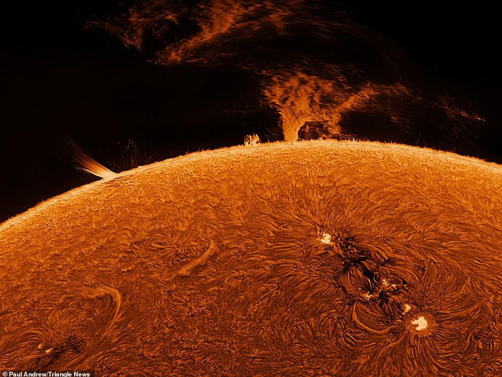 Matahari Bintang Sempurna Bagi Bumi, Ini Buktinya Menurut Riset