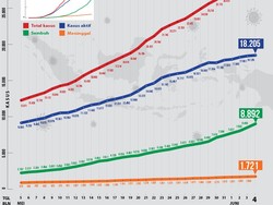 Grafik Corona di RI 4 Juni: Pasien Sembuh Naik Terus, Angka Kematian Turun
