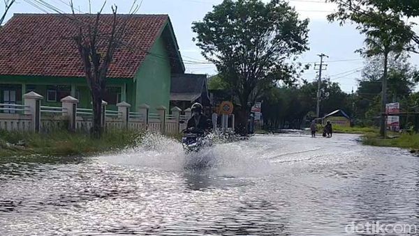 Ribuan KK Terdampak Banjir Rob di Kota Pekalongan