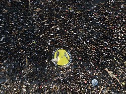 George Floyd Terinfeksi Corona, 10 Ribu Orang Ditangkap dalam Demo di AS