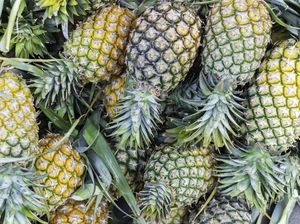 RI Punya Potensi Genjot Ekspor Pisang dan Nanas ke Jepang