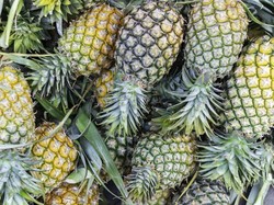 RI Punya Potensi Genjot Ekspor Pisang dan Nanas ke Jepang