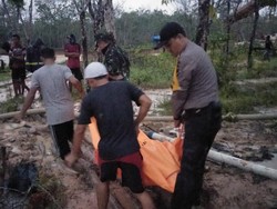 Tiga Penambang Emas Ilegal di Jambi Tewas Tertimbun Longsor