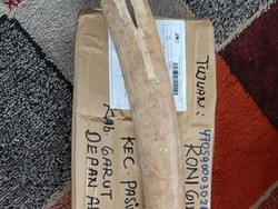 Jual-Beli Pipa Rokok Bahan Gading Gajah, Pria di Garut Diamankan KLHK