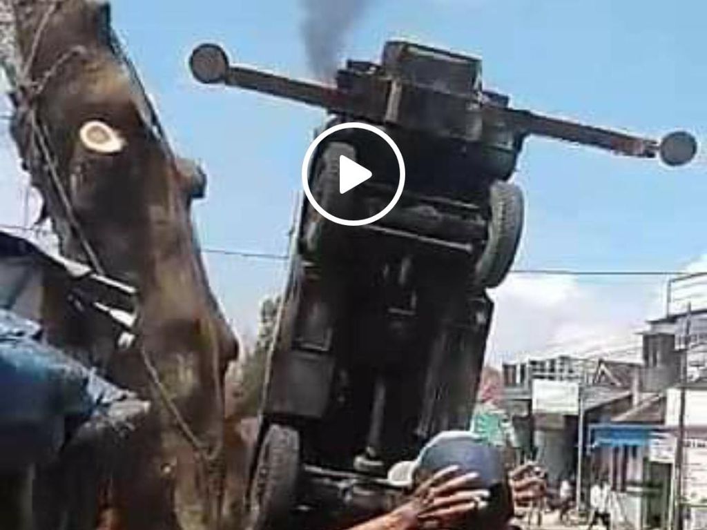 Viral Crane Terjungkal Saat Angkat Potongan Batang Pohon Viral Crane Terjungkal Saat Angkat Potongan Batang Pohon