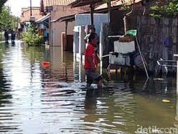 Banjir Rob di Pekalongan Belum Surut, Warga Evakuasi Harta Benda