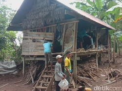 Usai Kisahnya Viral, Gubuk Reyot Nenek Hadi di Maros Akhirnya Direnovasi