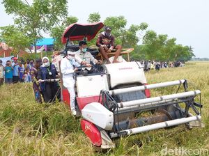 Pandemi Corona, Mentan: Sektor Pertanian Harus Segera Bangkit