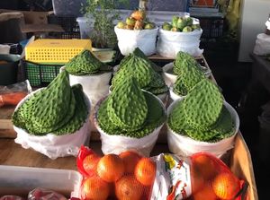 Borong Buah Kaktus dan Singkong di Pasar Tradisional Amerika