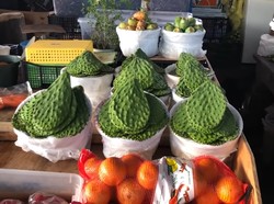 Borong Buah Kaktus dan Singkong di Pasar Tradisional Amerika