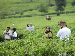 9 Perbedaan Liburan Setelah Pandemi COVID-19 dari Para Ahli