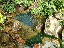 Sumur Ciamis Ini Cantik, tapi Angker