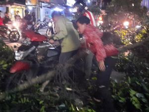 Pemotor Nyaris Tertimpa Pohon yang Tumbang Ditabrak Truk
